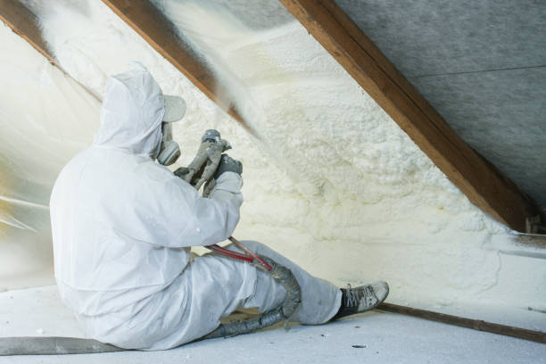 Best Eco-Friendly or Green Insulation Solutions  in USA